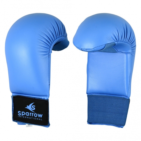 Martial Art Gloves