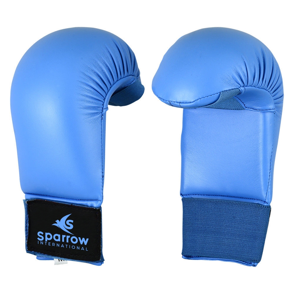 Martial Art Gloves